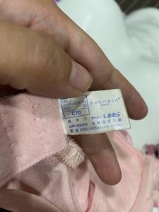 Pink Embroidery Princess Bra