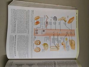 Guyton &amp; Hall Medical Physiology Textbook