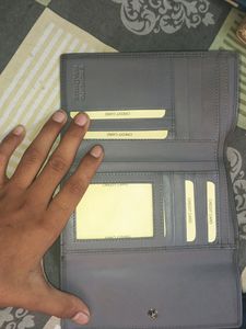 This is The Beautiful Leather purse For Women