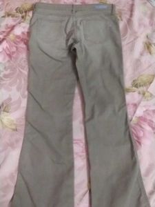Flared Leg Pants