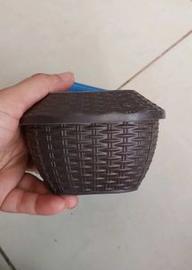 Divided Dinner Plate With Free Boxes