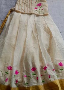 Hand-Painted Kerala Style Lehenga