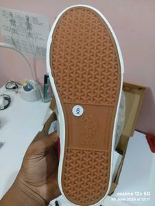 US Polo Assn Canvas Grey Sneakers For Men