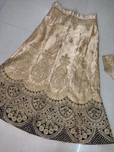 Gorgeous Lehenga Choli