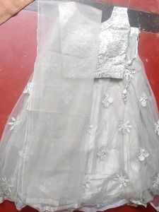 Elegant Embroidered Lehenga Set