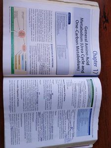 Biochemistry Textbook for Medical Students