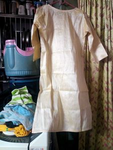 Elegant Ethnic Kurta