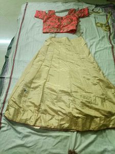 Embroidered Pink Blouse and lehenga