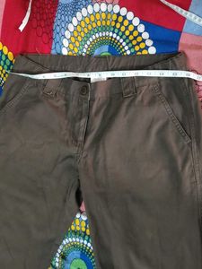 Brown Cargo Pants