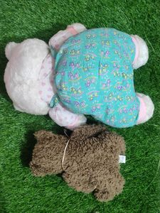Teddy Combo