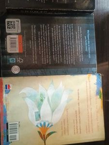 Mixed Fiction Books Bundle