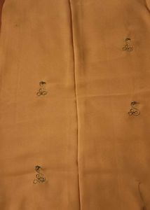 Elegant Orange Saree