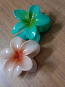 Claw Clips