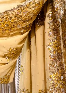 Prettiest Saree♥️