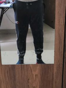 Blue H3 Jogger Pants woolen