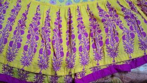 Colorful Flared Skirt