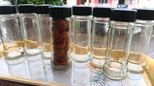 8-in-1 Glass Jar Collection – Kitchen & Health Use