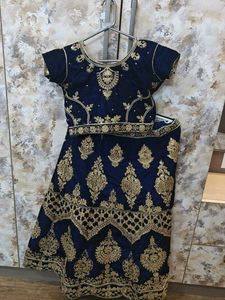 Elegant Lehenga Choli Set