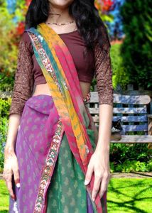 Vintage Multicolor Saree