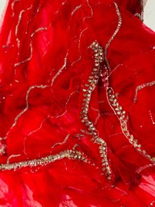 Red Net Saree