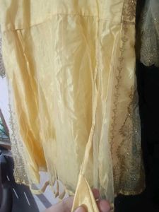 New Grand Gold Embroidery Sharara Set