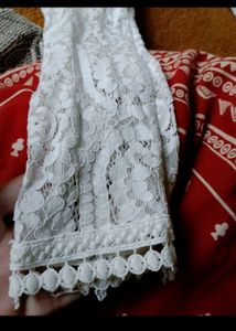 Beautiful Net Dress New Never Wear
