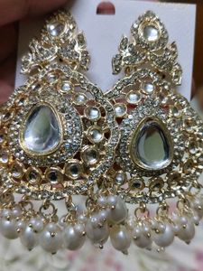 Beautiful Brand New Earrings