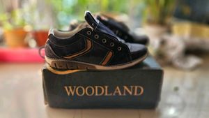 Woodland Casual Shoes