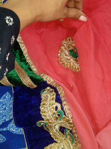 Pink Shaded Heavy Saree Women