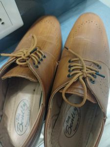 Classic Brown Formal Shoes