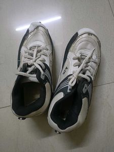 Unisex Sports Shoe