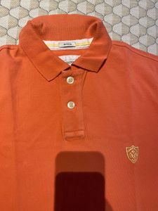 Polo Tee Shirt For Men