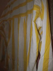 Striped Button-Down Shirt