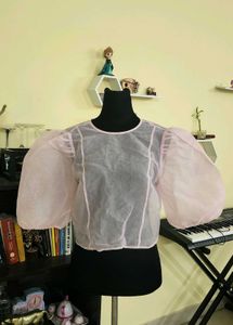 Sheer Puff Sleeve Top