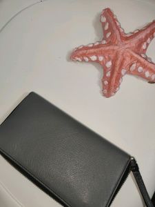 Calvin Klein Clutch