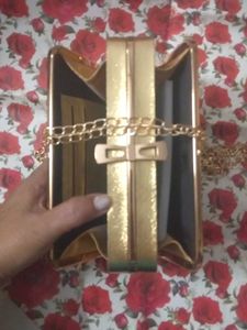 Party clutch Cum Sling