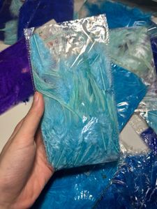 20 Packet Blue Colour Shade Feathers