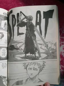 bleach volume 1