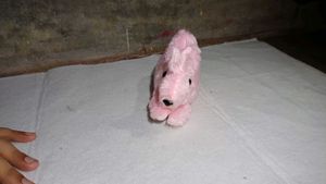 Cute Plush Rabbit Toys