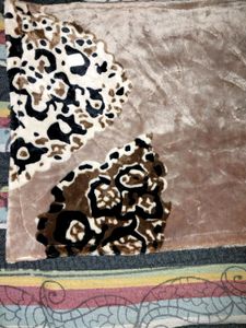 Doormet Combo Of 2 Pack