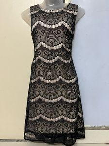 Pintrest Honey Branded Lace Mini Dress