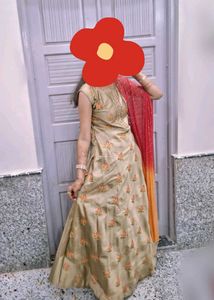 Banarasi Multi Colour Gown😍