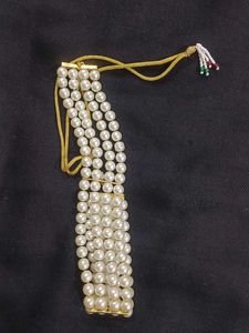 BEAUTIFUL PARTY WEAR CHOKER