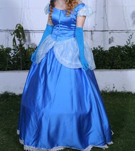 Cinderella Costume Dress