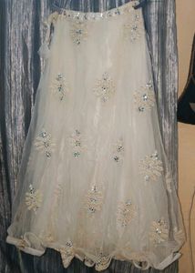 Elegant Embellished Lehnga Choli