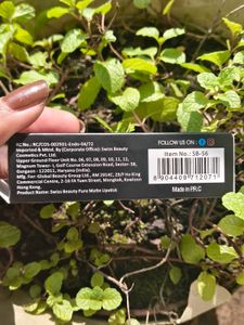 Swiss Beauty Pure Matte Lipstick