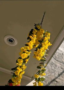 Hanging Planters for outdoor/indoor gardening