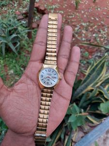 Gold Citizen Franken Fully Automatic Watch For Men