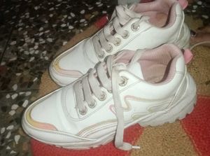 Sneakers Women  Shoes