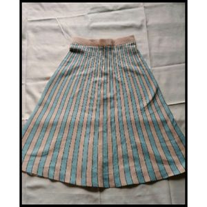 Knee Length Skirt